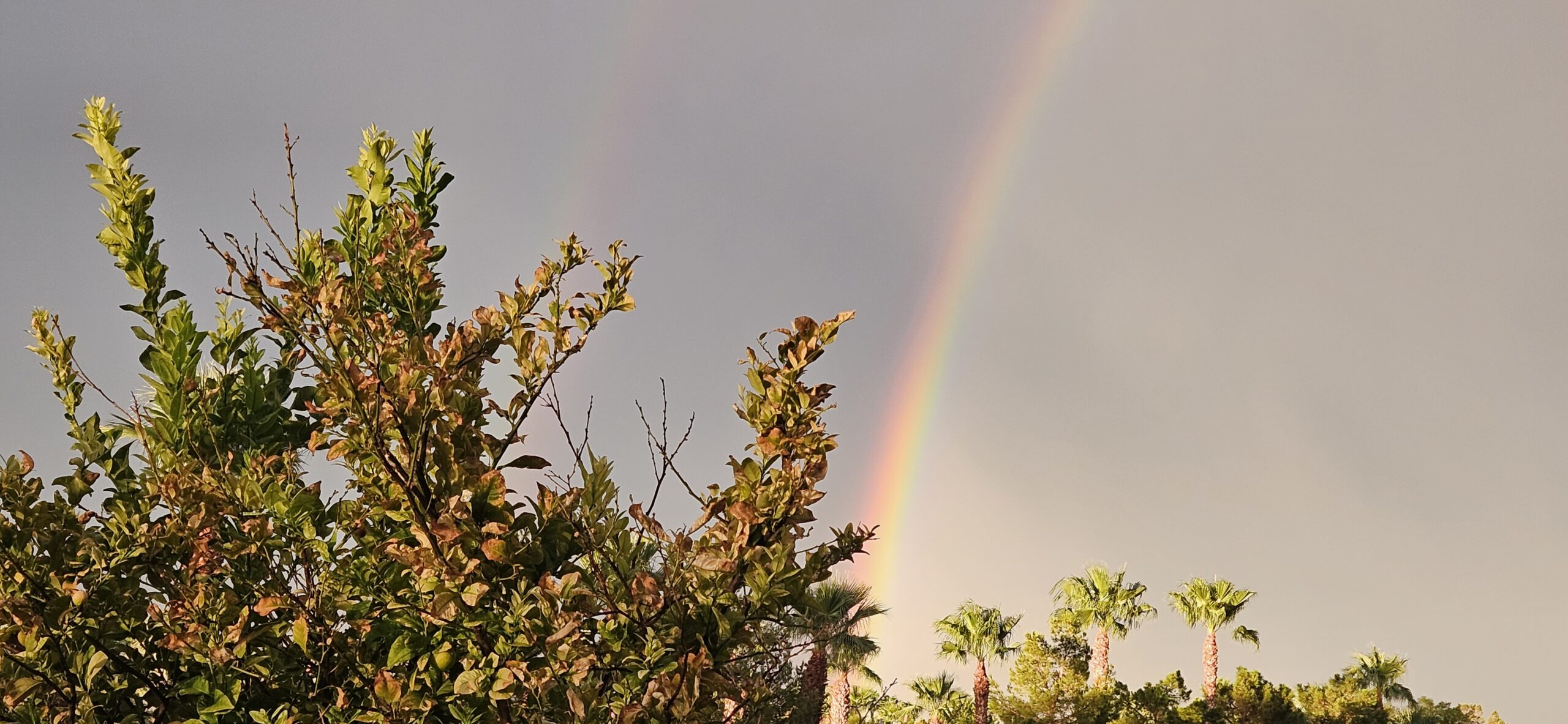 A Double Rainbow in Las Vegas